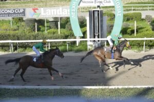 ΙΠΠΟΔΡΟΜΟΣ ΚΥΠΡΟΣ / IPPODROMOS KYPROS ΧΑΒΑΗ ΧΕΪΛΟ - 25/02/2026