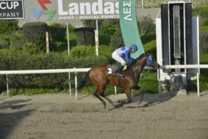 ΙΠΠΟΔΡΟΜΟΣ ΚΥΠΡΟΣ / IPPODROMOS KYPROS ΙΚΑΡΟΜΕΝΙΠΠΟΣ - 21/02/2026