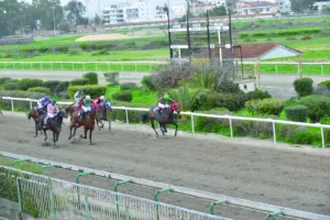 ΙΠΠΟΔΡΟΜΟΣ ΚΥΠΡΟΣ / IPPODROMOS KYPROS  ΠΠΟΥΛΟΥΙ - 01/02/2026