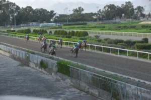 ΙΠΠΟΔΡΟΜΟΣ ΚΥΠΡΟΣ / IPPODROMOS KYPROS ΣΑΝΤΗ ΛΟΥΤΣΙΑΝΟ 18/02/2026