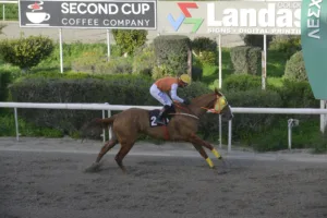 ΙΠΠΟΔΡΟΜΟΣ ΚΥΠΡΟΣ / IPPODROMOS KYPROS ΣΕΡ ΠΕΠΕ - 08/02/2026