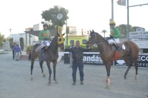 ΙΠΠΟΔΡΟΜΟΣ ΚΥΠΡΟΣ / IPPODROMOS KYPROS ΧΑΒΑΗ ΧΕΪΛΟ - 25/02/2026