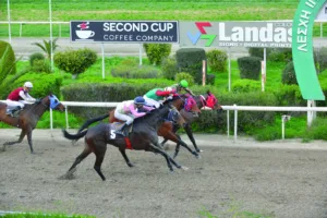 ΙΠΠΟΔΡΟΜΟΣ ΚΥΠΡΟΣ / IPPODROMOS KYPROS  ΠΠΟΥΛΟΥΙ - 01/02/2026