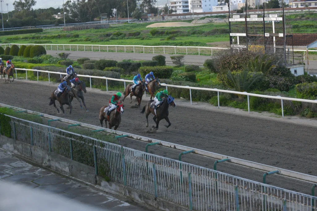 ΙΠΠΟΔΡΟΜΟΣ ΚΥΠΡΟΣ / IPPODROMOS KYPROS ΣΑΝΤΗ ΛΟΥΤΣΙΑΝΟ 18/02/2026