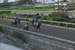 ΙΠΠΟΔΡΟΜΟΣ ΚΥΠΡΟΣ / IPPODROMOS KYPROS ΣΑΝΤΗ ΛΟΥΤΣΙΑΝΟ 18/02/2026