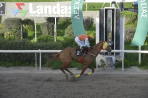 ΙΠΠΟΔΡΟΜΟΣ ΚΥΠΡΟΣ / IPPODROMOS KYPROS ΣΕΡ ΠΕΠΕ - 08/02/2026