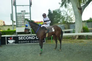 ΙΠΠΟΔΡΟΜΟΣ ΚΥΠΡΟΣ / IPPODROMOS KYPROS ΕΥΣΤΟΧΟΣ - 11/02/2026