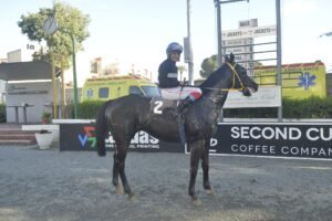 ΙΠΠΟΔΡΟΜΟΣ ΚΥΠΡΟΣ / IPPODROMOS KYPROS ΓΚΙΜΛΙ - 15/02/2026