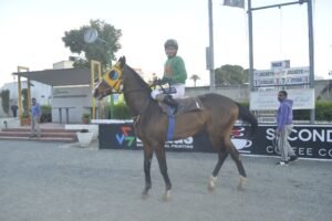 ΙΠΠΟΔΡΟΜΟΣ ΚΥΠΡΟΣ / IPPODROMOS KYPROS ΧΑΒΑΗ ΧΕΪΛΟ - 25/02/2026