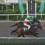 ΙΠΠΟΔΡΟΜΟΣ ΚΥΠΡΟΣ / IPPODROMOS KYPROS ΣΑΝΤΗ ΛΟΥΤΣΙΑΝΟ 18/02/2026