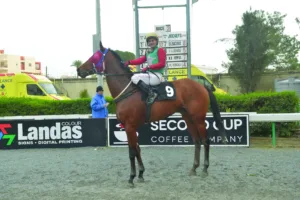 ΙΠΠΟΔΡΟΜΟΣ ΚΥΠΡΟΣ / IPPODROMOS KYPROS  ΠΠΟΥΛΟΥΙ - 01/02/2026