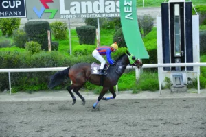 ΙΠΠΟΔΡΟΜΟΣ ΚΥΠΡΟΣ / IPPODROMOS KYPROS  ΑΜΕΙΖΙΝΓΚ ΜΠΙΟΥΤΥ - 01/02/2026