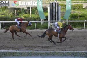 ΙΠΠΟΔΡΟΜΟΣ ΚΥΠΡΟΣ / IPPODROMOS KYPROS ΕΡΗΜΙΩΤΗΣ - 25/02/2026