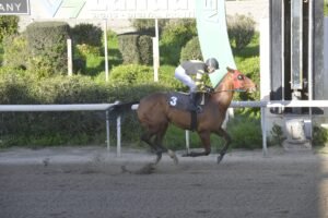 ΙΠΠΟΔΡΟΜΟΣ ΚΥΠΡΟΣ / IPPODROMOS KYPROS ΤΖΩΝΥ ΜΠΟΥΜ  - 15/02/2026