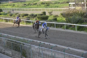 ΙΠΠΟΔΡΟΜΟΣ ΚΥΠΡΟΣ / IPPODROMOS KYPROS ΜΙΣ ΝΤΟΥΚΑΛ 18/02/2026