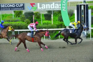 ΙΠΠΟΔΡΟΜΟΣ ΚΥΠΡΟΣ / IPPODROMOS KYPROS ΘΕΣΠΡΩΤΙΑ - 11/02/2026