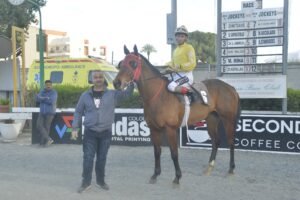 ΙΠΠΟΔΡΟΜΟΣ ΚΥΠΡΟΣ / IPPODROMOS KYPROS ΕΡΗΜΙΩΤΗΣ - 25/02/2026