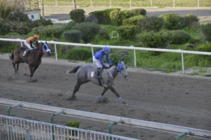 ΙΠΠΟΔΡΟΜΟΣ ΚΥΠΡΟΣ / IPPODROMOS KYPROS ΜΙΣ ΝΤΟΥΚΑΛ 18/02/2026