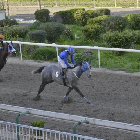 ΙΠΠΟΔΡΟΜΟΣ ΚΥΠΡΟΣ / IPPODROMOS KYPROS ΜΙΣ ΝΤΟΥΚΑΛ 18/02/2026