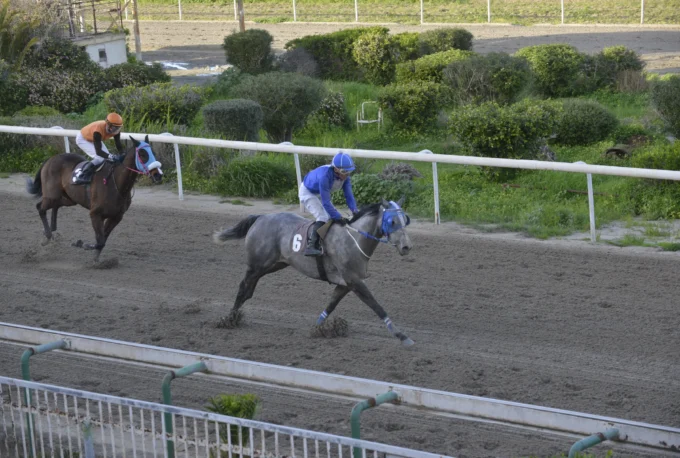 ΙΠΠΟΔΡΟΜΟΣ ΚΥΠΡΟΣ / IPPODROMOS KYPROS ΜΙΣ ΝΤΟΥΚΑΛ 18/02/2026