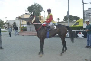 ΙΠΠΟΔΡΟΜΟΣ ΚΥΠΡΟΣ / IPPODROMOS KYPROS ΤΟΠ ΚΡΕΙΖΥ ΜΠΛΑΚ - 21/02/2026