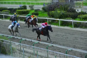 ΙΠΠΟΔΡΟΜΟΣ ΚΥΠΡΟΣ / IPPODROMOS KYPROS  ΑΔΩΝΗΣ ΚΙΓΚ - 01/02/2026