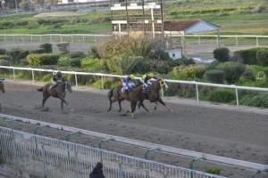 ΙΠΠΟΔΡΟΜΟΣ ΚΥΠΡΟΣ / IPPODROMOS KYPROS ΑΜΦΙΜΑΧΟΣ 18/02/2026