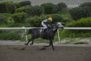 ΙΠΠΟΔΡΟΜΟΣ ΚΥΠΡΟΣ / IPPODROMOS KYPROS ΜΠΕΝ ΓΚΑΝ - 21/02/2026