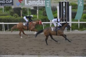 ΙΠΠΟΔΡΟΜΟΣ ΚΥΠΡΟΣ / IPPODROMOS KYPROS ΕΡΩΤΑΣ - 25/02/2026