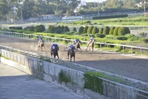 ΙΠΠΟΔΡΟΜΟΣ ΚΥΠΡΟΣ / IPPODROMOS KYPROS ΕΣΣΑΠΕ - ΚΥΠΕΛΛΟ ΛΙΜΝΙΑ - 15/02/2026