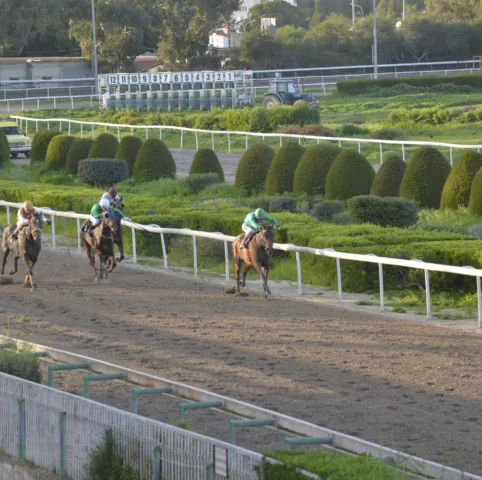 ΙΠΠΟΔΡΟΜΟΣ ΚΥΠΡΟΣ / IPPODROMOS KYPROS ΧΑΒΑΗ ΜΠΟΣ - ΚΥΠΕΛΛΟ ΑΙΜΙΛΙΟΥ ΤΑΒΕΡΝΑΡΗ - 08/02/2026