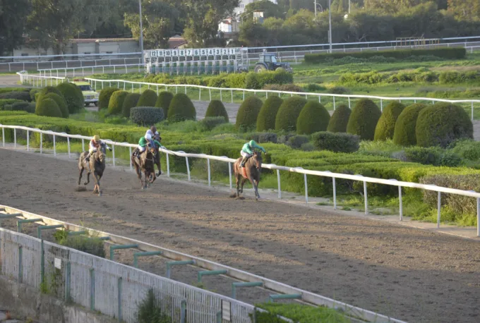 ΙΠΠΟΔΡΟΜΟΣ ΚΥΠΡΟΣ / IPPODROMOS KYPROS ΧΑΒΑΗ ΜΠΟΣ - ΚΥΠΕΛΛΟ ΑΙΜΙΛΙΟΥ ΤΑΒΕΡΝΑΡΗ - 08/02/2026