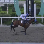 ΙΠΠΟΔΡΟΜΟΣ ΚΥΠΡΟΣ / IPPODROMOS KYPROS ΤΕΜΠΟ - 04/02/2026