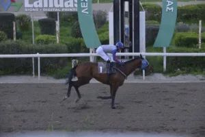 ΙΠΠΟΔΡΟΜΟΣ ΚΥΠΡΟΣ / IPPODROMOS KYPROS ΤΕΜΠΟ - 04/02/2026