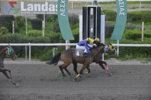 ΙΠΠΟΔΡΟΜΟΣ ΚΥΠΡΟΣ / IPPODROMOS KYPROS ΑΜΦΙΜΑΧΟΣ 18/02/2026