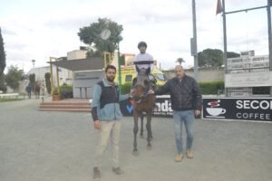 ΙΠΠΟΔΡΟΜΟΣ ΚΥΠΡΟΣ / IPPODROMOS KYPROS ΕΡΩΤΑΣ - 25/02/2026