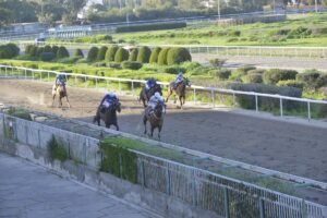 ΙΠΠΟΔΡΟΜΟΣ ΚΥΠΡΟΣ / IPPODROMOS KYPROS ΕΣΣΑΠΕ - ΚΥΠΕΛΛΟ ΛΙΜΝΙΑ - 15/02/2026