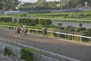 ΙΠΠΟΔΡΟΜΟΣ ΚΥΠΡΟΣ / IPPODROMOS KYPROS ΧΑΒΑΗ ΜΠΟΣ - ΚΥΠΕΛΛΟ ΑΙΜΙΛΙΟΥ ΤΑΒΕΡΝΑΡΗ - 08/02/2026