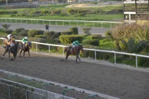 ΙΠΠΟΔΡΟΜΟΣ ΚΥΠΡΟΣ / IPPODROMOS KYPROS ΧΑΒΑΗ ΜΠΟΣ - ΚΥΠΕΛΛΟ ΑΙΜΙΛΙΟΥ ΤΑΒΕΡΝΑΡΗ - 08/02/2026