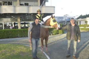 ΙΠΠΟΔΡΟΜΟΣ ΚΥΠΡΟΣ / IPPODROMOS KYPROS ΑΜΦΙΜΑΧΟΣ 18/02/2026