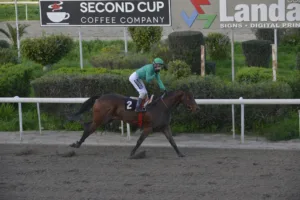 ΙΠΠΟΔΡΟΜΟΣ ΚΥΠΡΟΣ / IPPODROMOS KYPROS ΧΑΒΑΗ ΜΠΟΣ - ΚΥΠΕΛΛΟ ΑΙΜΙΛΙΟΥ ΤΑΒΕΡΝΑΡΗ - 08/02/2026