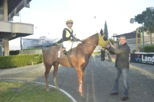 ΙΠΠΟΔΡΟΜΟΣ ΚΥΠΡΟΣ / IPPODROMOS KYPROS ΑΜΦΙΜΑΧΟΣ 18/02/2026