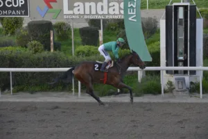 ΙΠΠΟΔΡΟΜΟΣ ΚΥΠΡΟΣ / IPPODROMOS KYPROS ΧΑΒΑΗ ΜΠΟΣ - ΚΥΠΕΛΛΟ ΑΙΜΙΛΙΟΥ ΤΑΒΕΡΝΑΡΗ - 08/02/2026