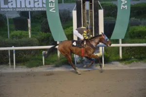 ΙΠΠΟΔΡΟΜΟΣ ΚΥΠΡΟΣ / IPPODROMOS KYPROS ΝΤΟΥΚΑΛ ΙΩΑΝΝΗΣ - 08/02/2026