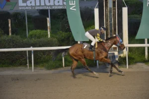 ΙΠΠΟΔΡΟΜΟΣ ΚΥΠΡΟΣ / IPPODROMOS KYPROS ΝΤΟΥΚΑΛ ΙΩΑΝΝΗΣ 18/02/2026