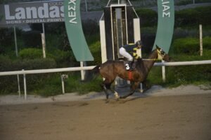 ΙΠΠΟΔΡΟΜΟΣ ΚΥΠΡΟΣ / IPPODROMOS KYPROS ΚΑΡΠΟΖΗΛΟΣ - 25/02/2026