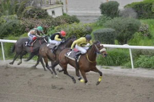 ΙΠΠΟΔΡΟΜΟΣ ΚΥΠΡΟΣ / IPPODROMOS KYPROS ΜΙΡΑΖ - 21/02/2026