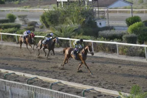 ΙΠΠΟΔΡΟΜΟΣ ΚΥΠΡΟΣ / IPPODROMOS KYPROS