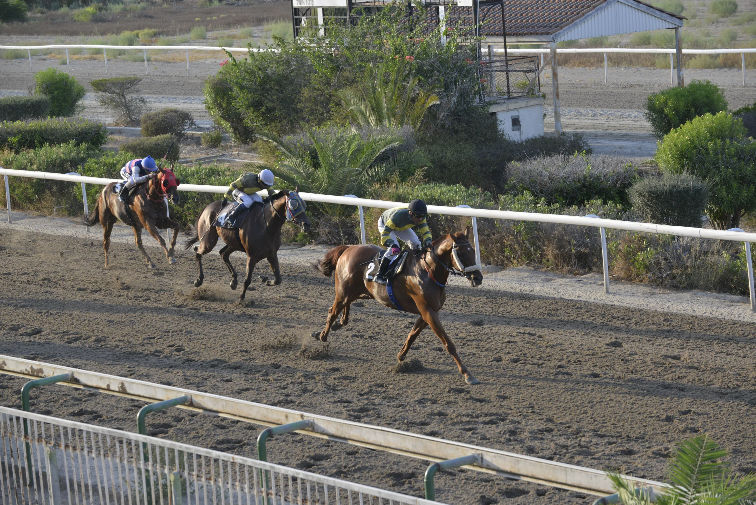 ΙΠΠΟΔΡΟΜΟΣ ΚΥΠΡΟΣ / IPPODROMOS KYPROS