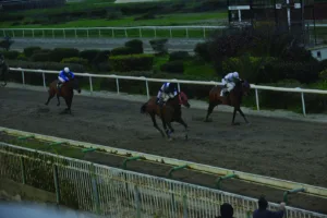 ΙΠΠΟΔΡΟΜΟΣ ΚΥΠΡΟΣ / IPPODROMOS KYPROS  ΒΡΑΚΑΣ ΛΕΓΚΑΣΥ - 01/02/2026